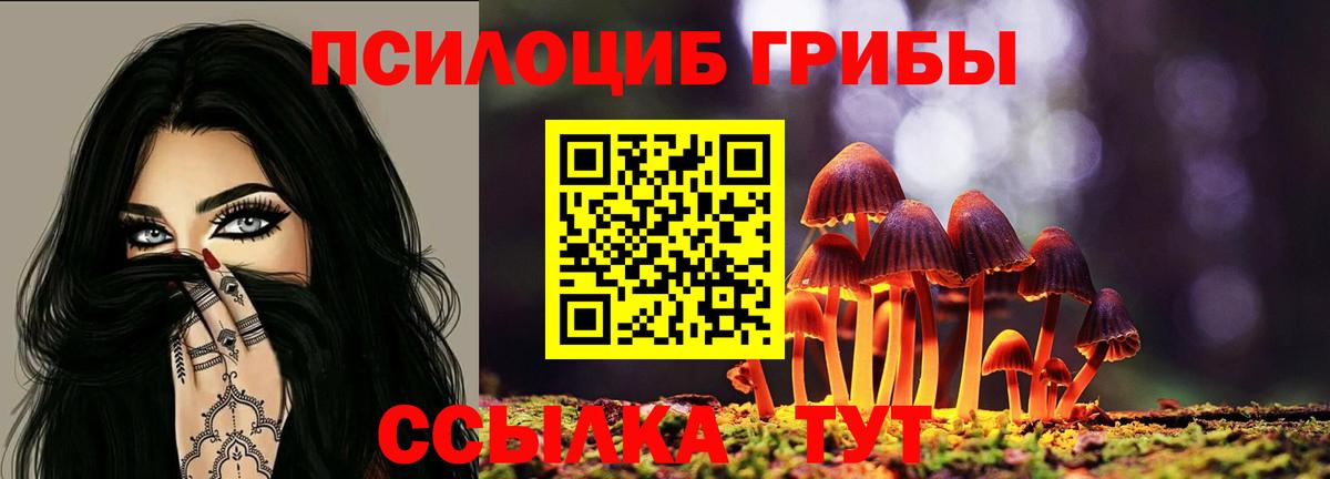 Майский  Псилоцибиновые грибы мицелий  Вход с VPN 